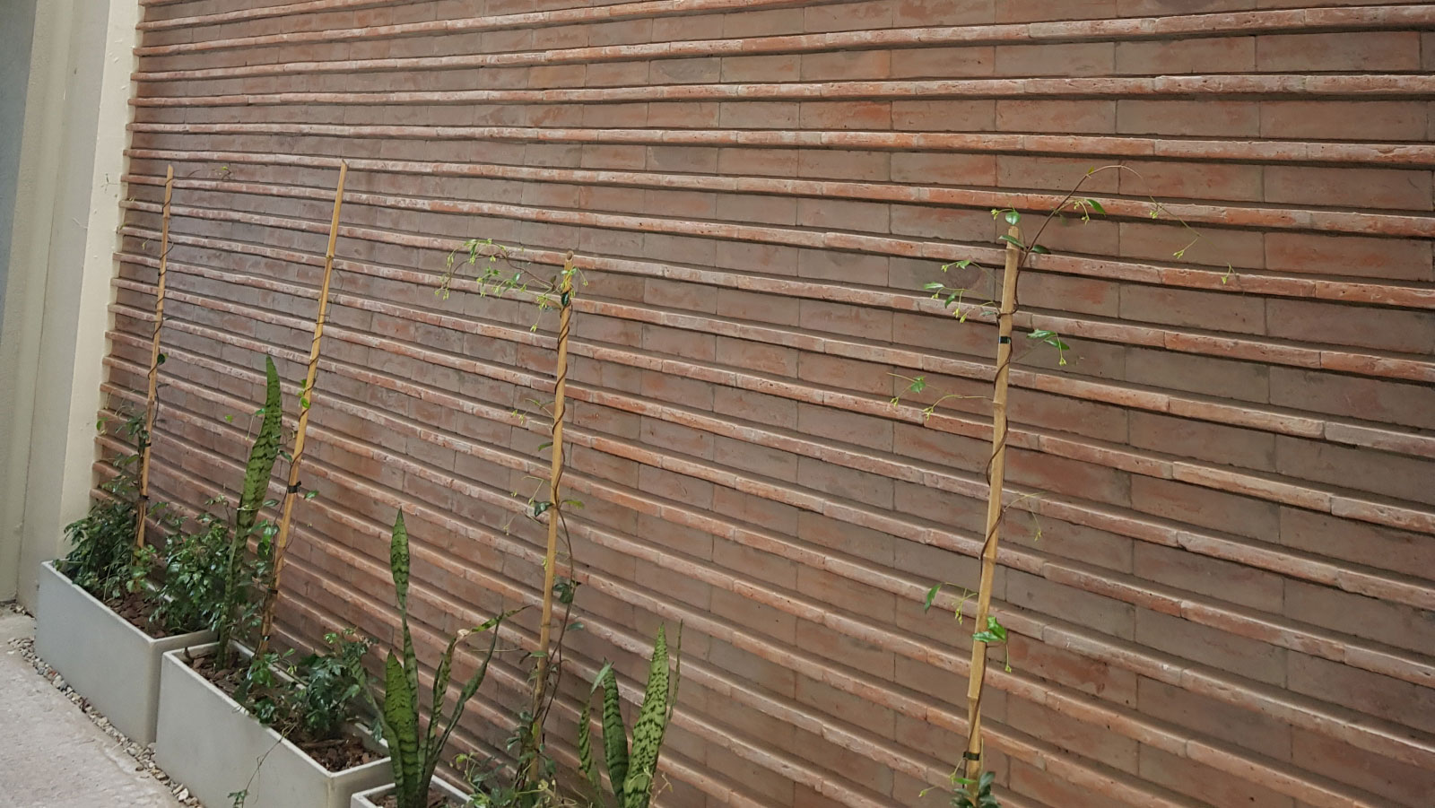 Dorrego 3621/3629 | ARQCO - arquitectura colectiva