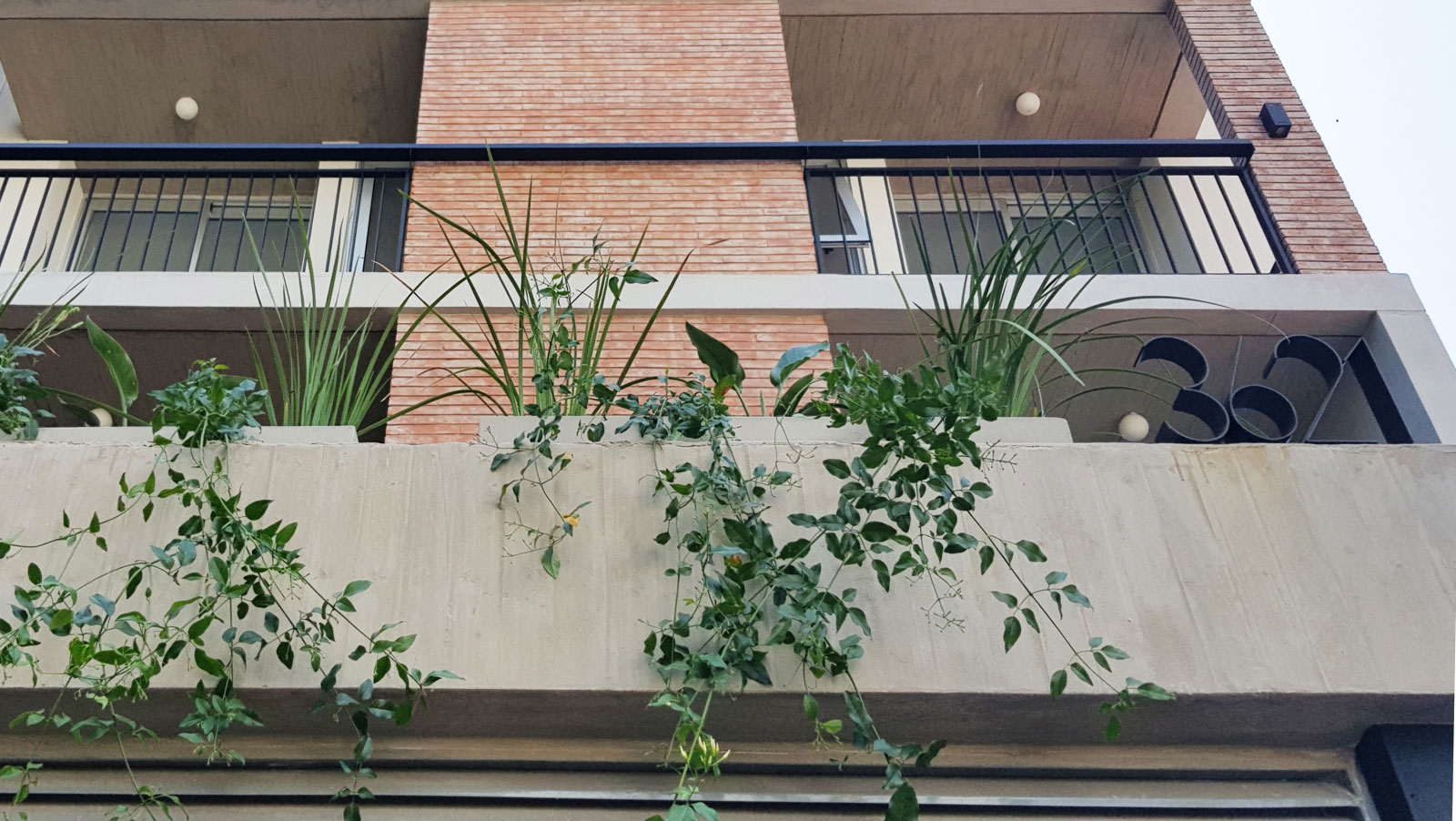 Dorrego 3621/3629 | ARQCO - arquitectura colectiva